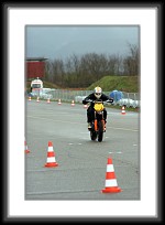 freiburg-samstag-0037 * 2336 x 3504 * (4.54MB)