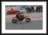 IMG_8137 * 3504 x 2336 * (3.32MB)
