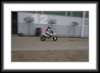 saarmesse09-0129 * 3504 x 2336 * (3.1MB)