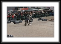 saarmesse09-0157 * 3504 x 2336 * (3.21MB)