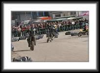 saarmesse09-0175 * 3504 x 2336 * (3.54MB)
