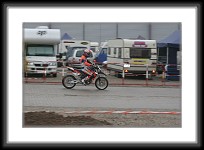 saarmesse09-0327 * 3504 x 2336 * (3.03MB)
