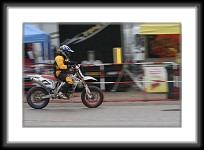 saarmesse09-0383 * 3504 x 2336 * (3.1MB)