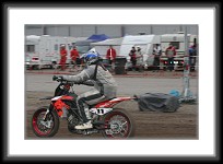 saarmesse09-0386 * 3504 x 2336 * (3.34MB)
