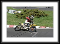 schaafheim-0246 * 3504 x 2336 * (3.02MB)