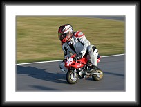 walle-03-09_014 * 3333 x 2313 * (3.35MB)