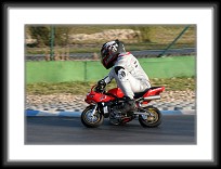 walle-03-09_017 * 2652 x 1870 * (3.07MB)